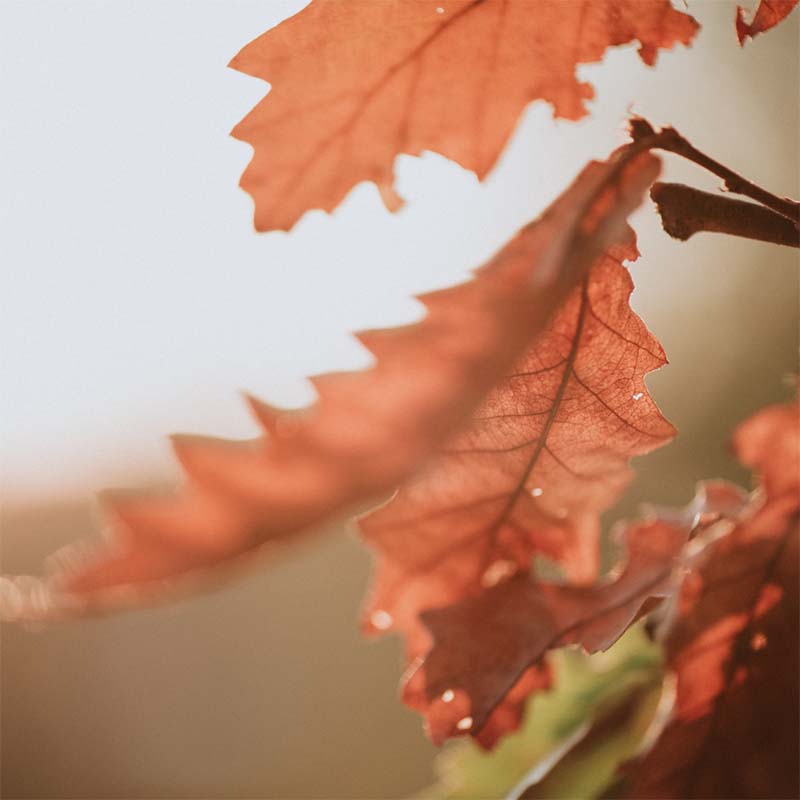 nursing-home_47